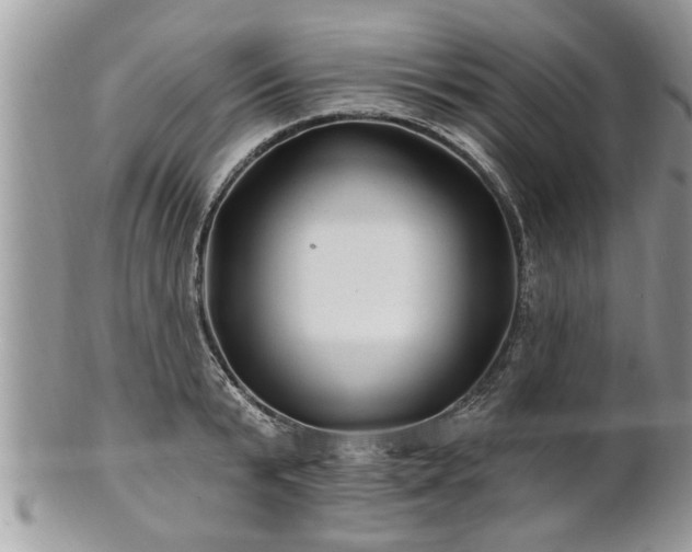 X0000100970799200807011419