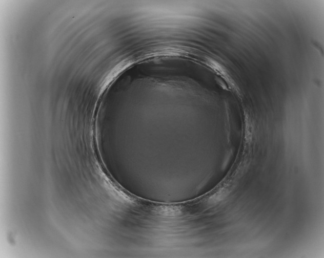 X0000100970802200807011419