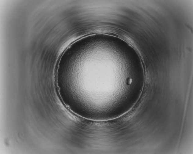 X0000100970803200807011419