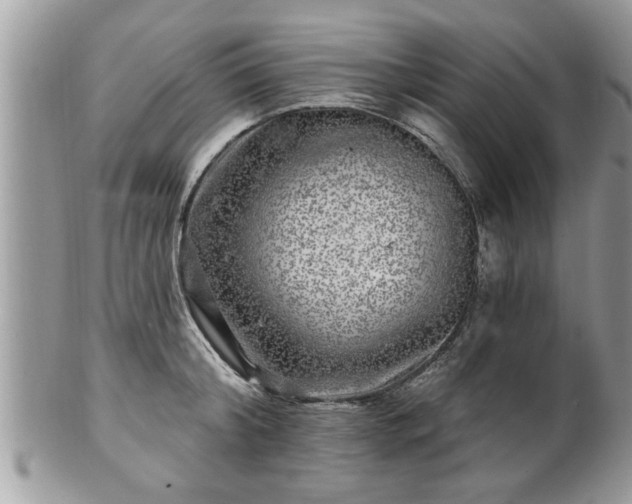 X0000100970804200807011419