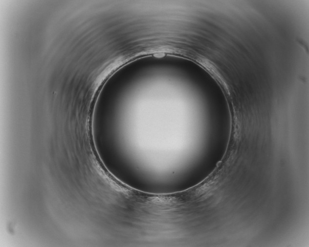 X0000100970805200807011419