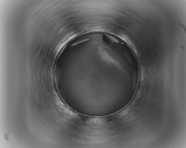 X0000100970806200807011419