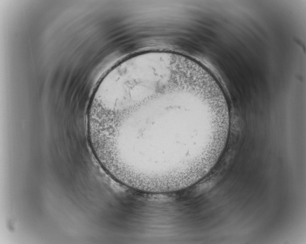 X0000100970807200807011419