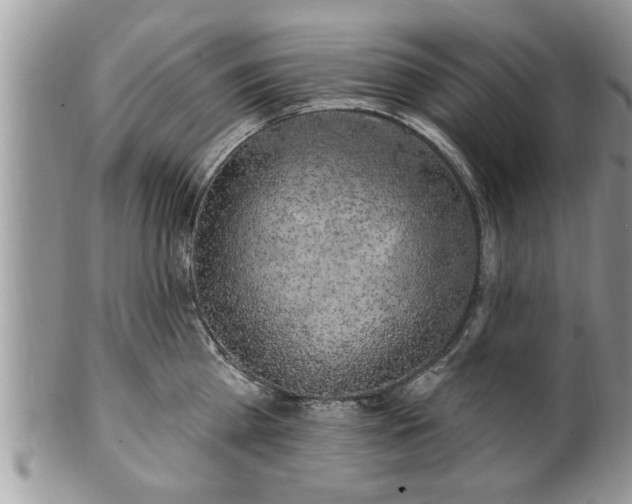X0000100970809200807011419