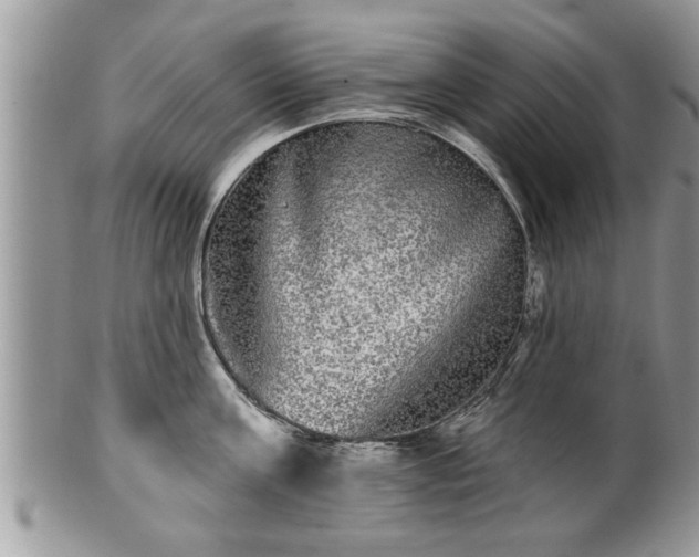 X0000100970811200807011419