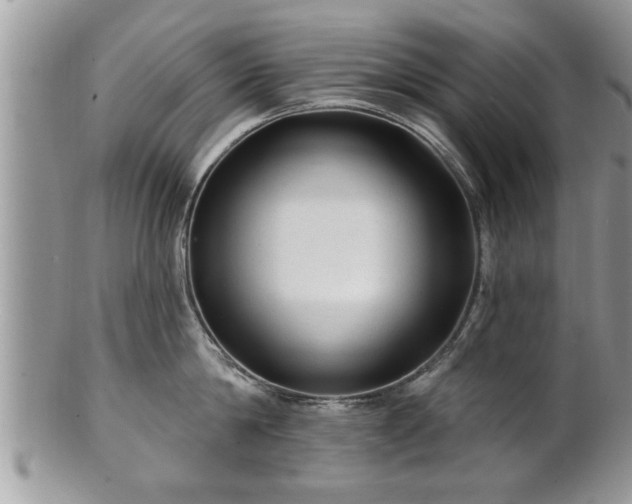 X0000100970814200807011419