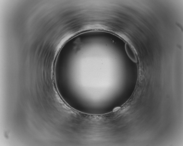 X0000100970815200807011419