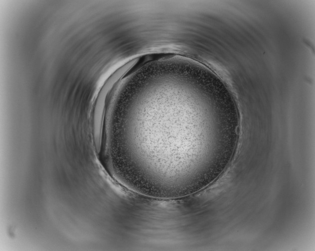 X0000100970816200807011419