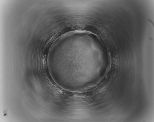 X0000100970818200807011418