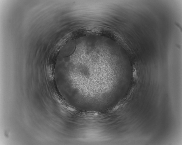 X0000100970819200807011418