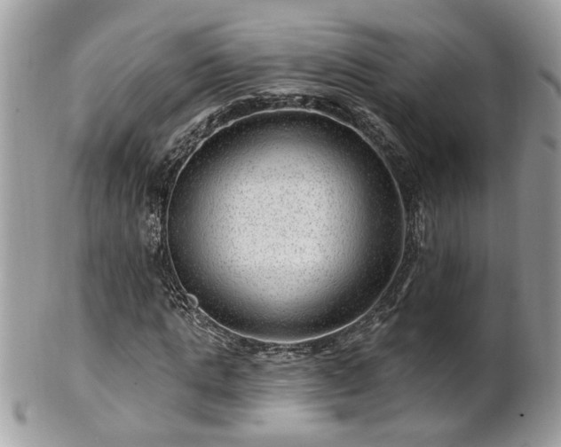 X0000100970821200807011418