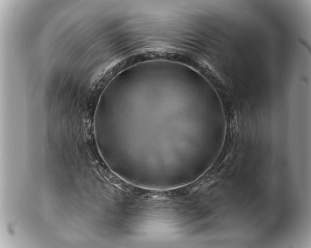 X0000100970822200807011418