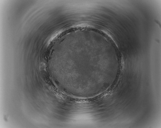X0000100970823200807011418