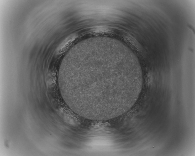 X0000100970824200807011418