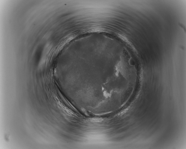 X0000100970825200807011418