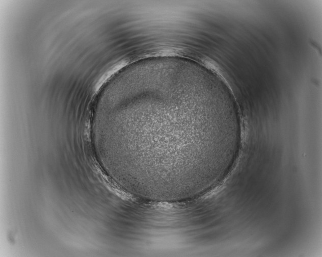 X0000100970827200807011418