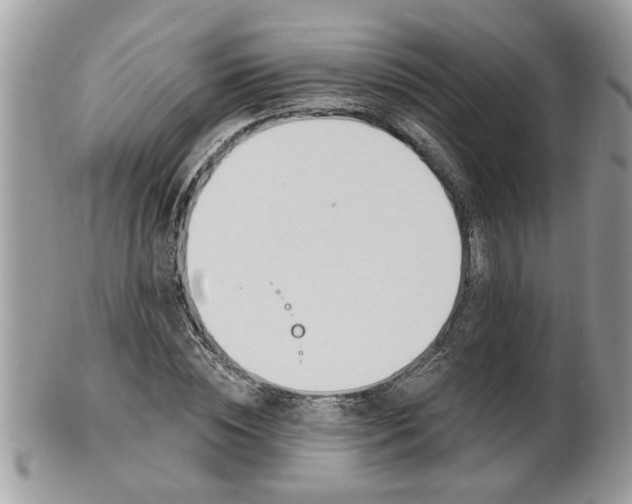 X0000100970828200807011418