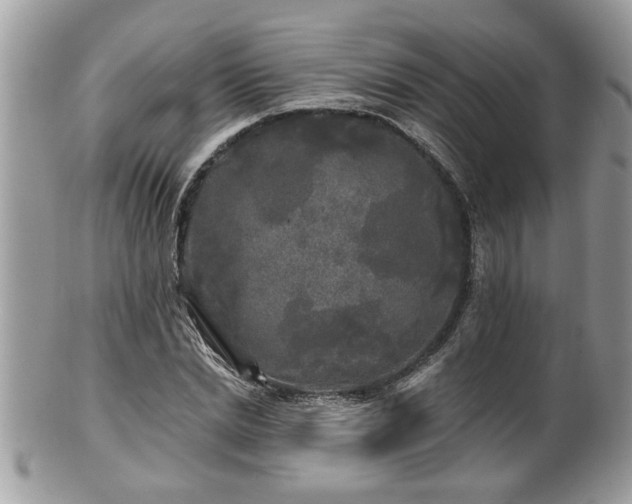X0000100970830200807011418