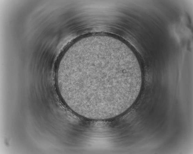 X0000100970832200807011418