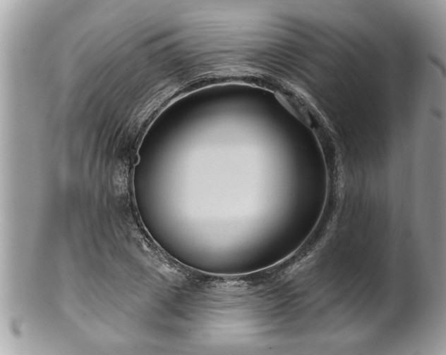 X0000100970833200807011419