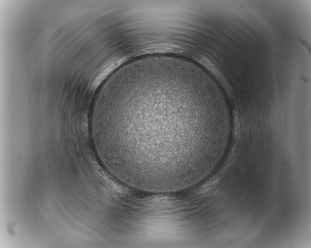 X0000100970834200807011419