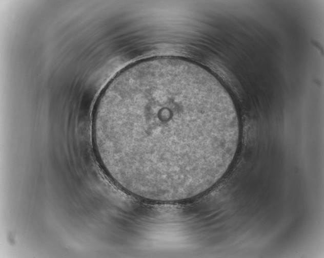 X0000100970836200807011419