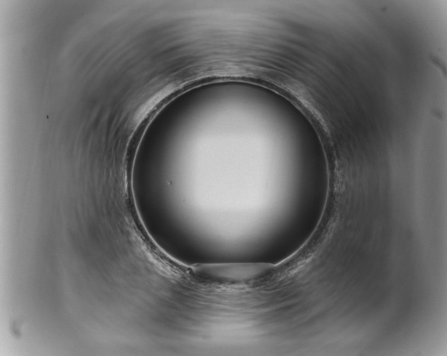 X0000100970837200807011419