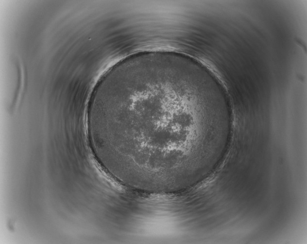 X0000100970840200807011419