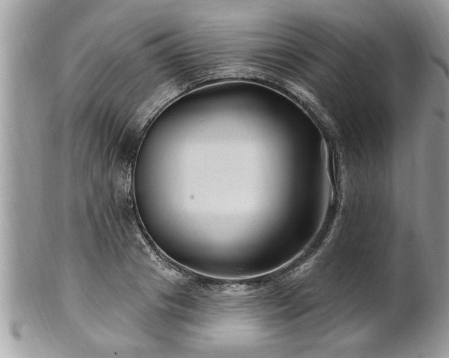 X0000100970841200807011419