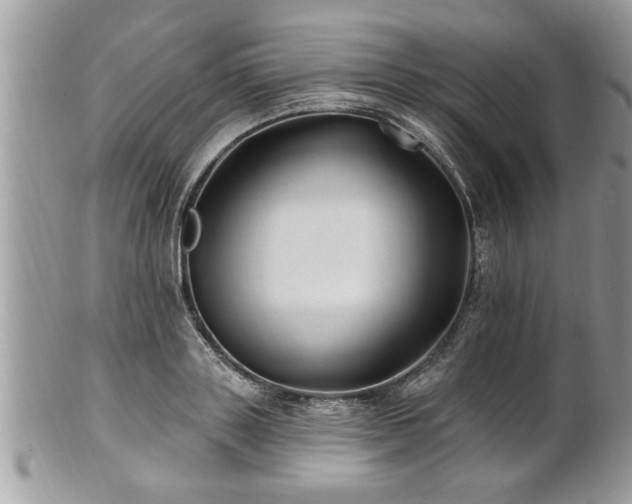 X0000100970843200807011419