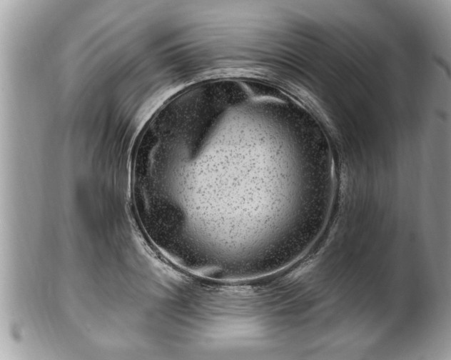 X0000100970844200807011419