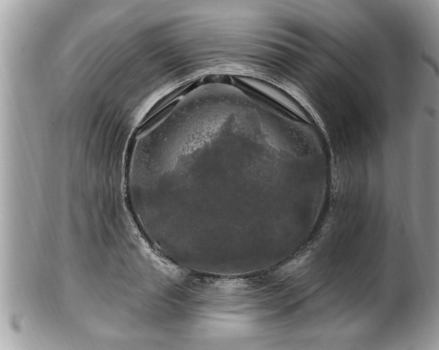 X0000100970845200807011419