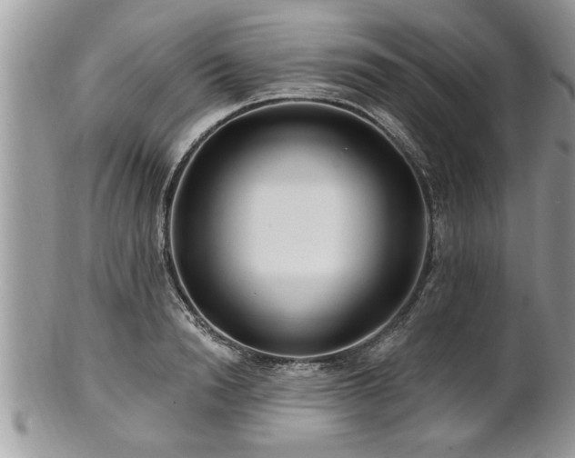 X0000100970846200807011419