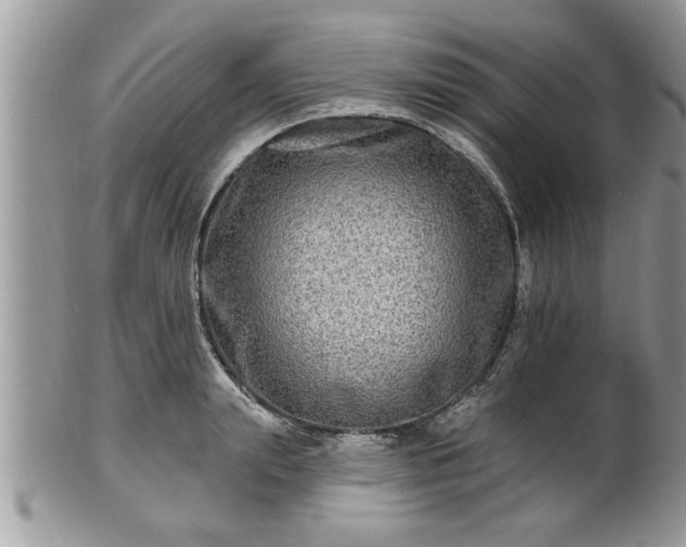 X0000100970847200807011419