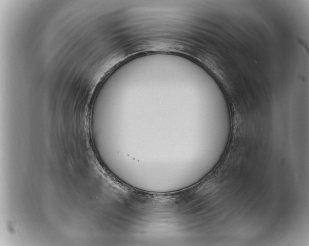 X0000100970848200807011419