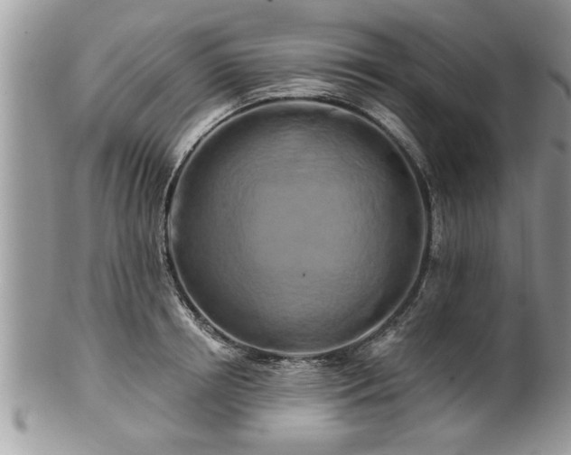 X0000100970850200807011419