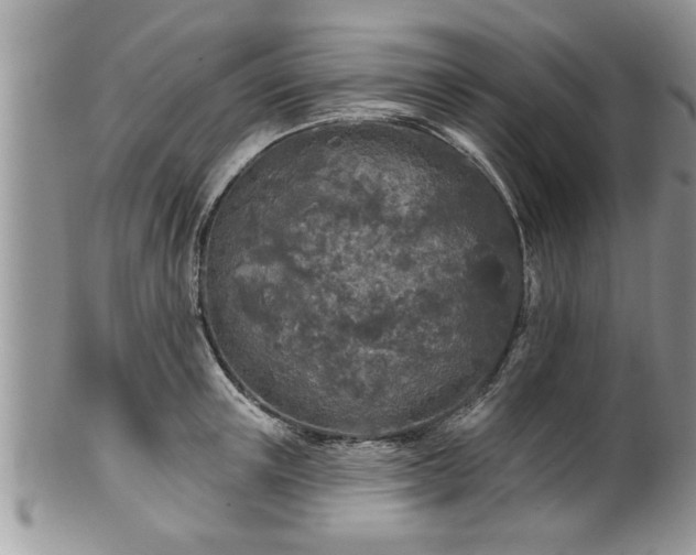 X0000100970851200807011419