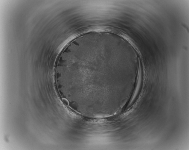 X0000100970853200807011419