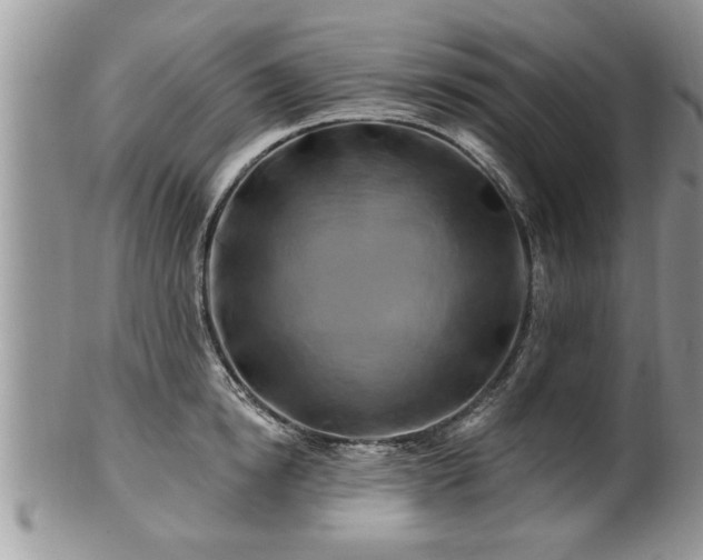 X0000100970854200807011419