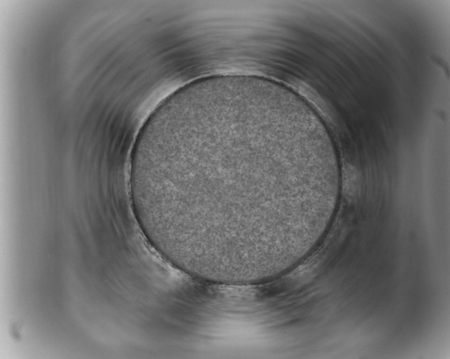 X0000100970856200807011419