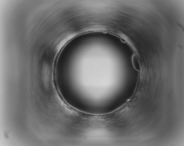X0000100970861200807011419