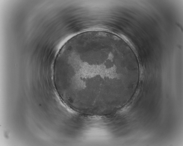 X0000100970862200807011419