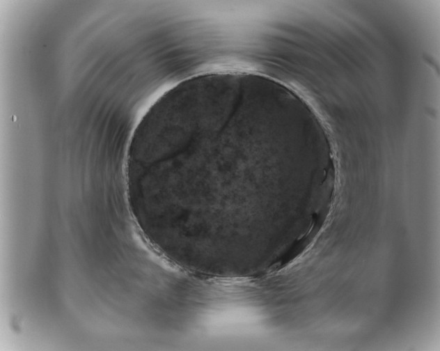 X0000100970864200807011419