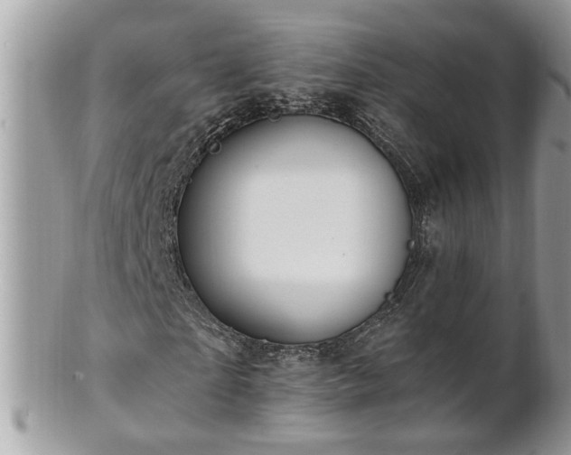 X0000100970865200807011418