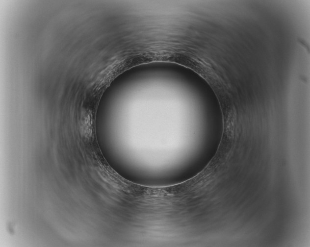X0000100970866200807011418