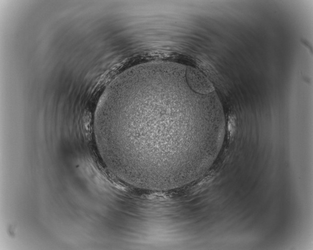 X0000100970867200807011418