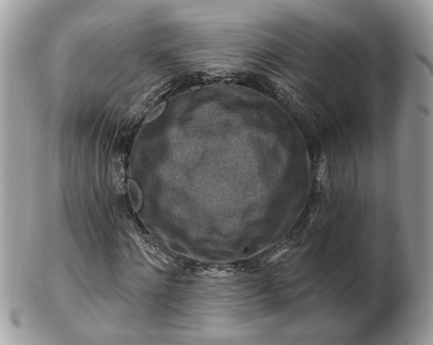 X0000100970868200807011418