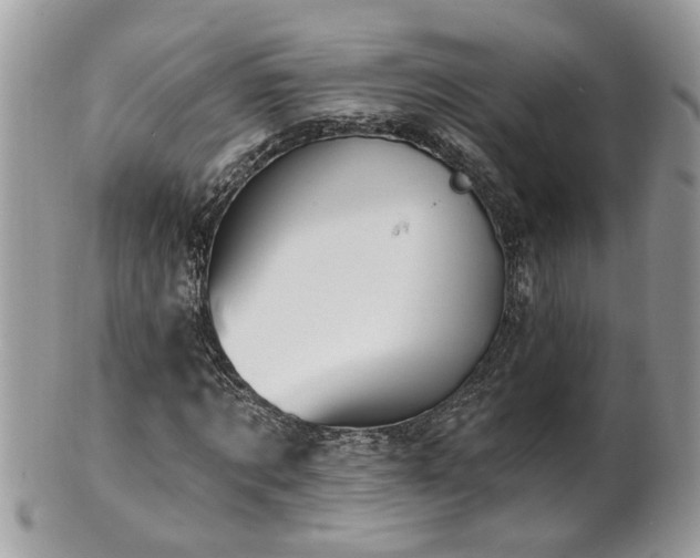 X0000100970869200807011418