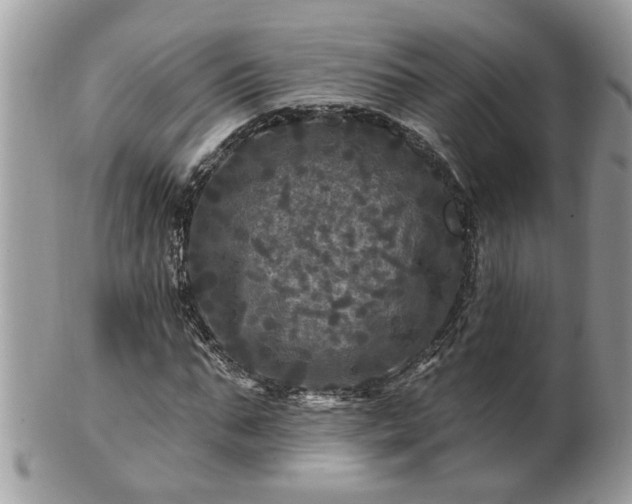 X0000100970871200807011418