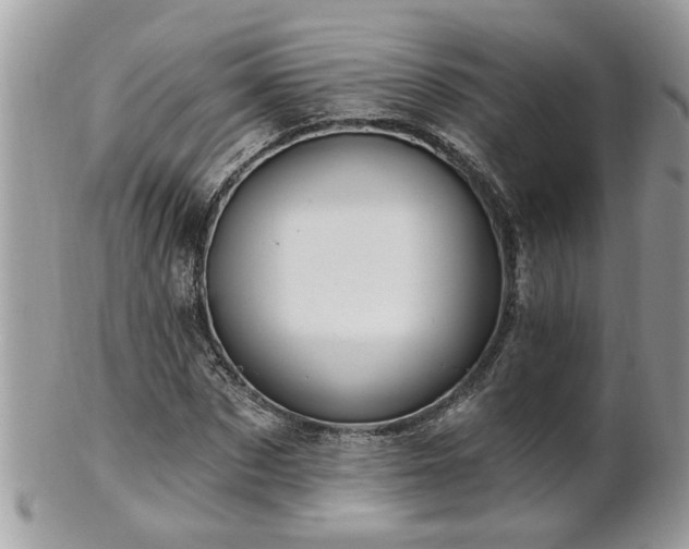 X0000100970873200807011418